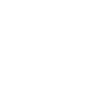 SecurOS UVSS logo